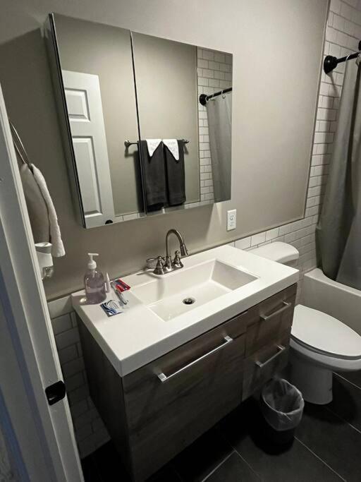 Downtown Albany 1 Bed + Workstation @ Maiden Lane Leilighet Eksteriør bilde