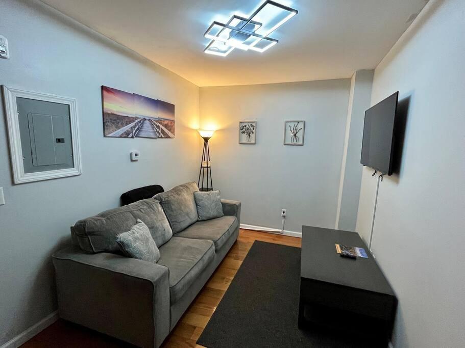 Downtown Albany 1 Bed + Workstation @ Maiden Lane Leilighet Eksteriør bilde
