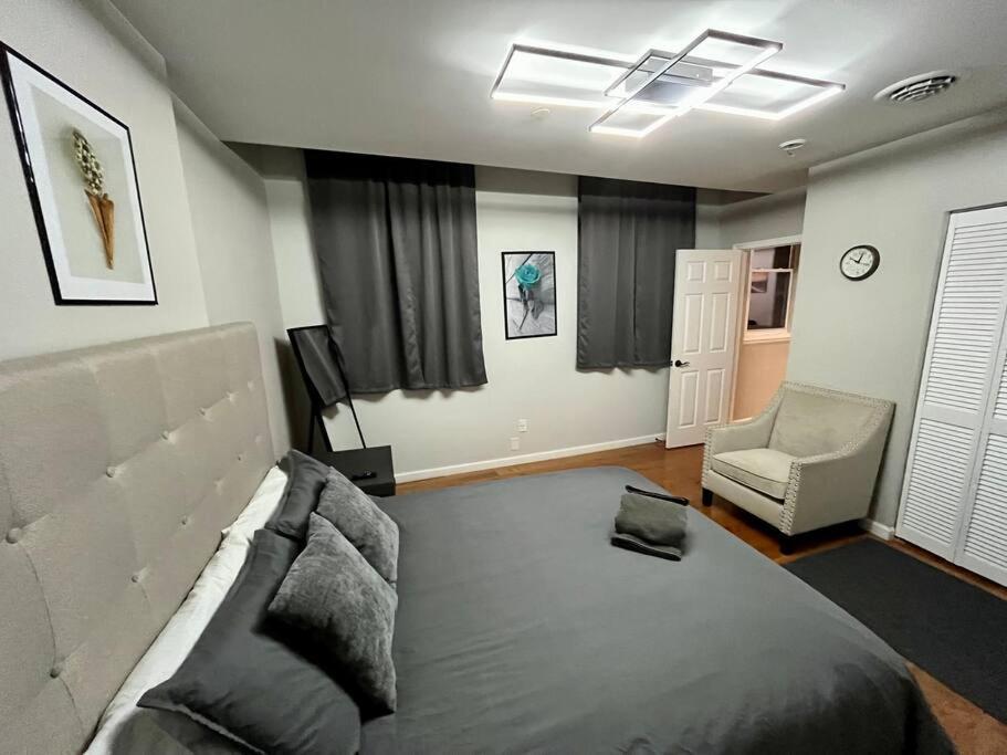 Downtown Albany 1 Bed + Workstation @ Maiden Lane Leilighet Eksteriør bilde